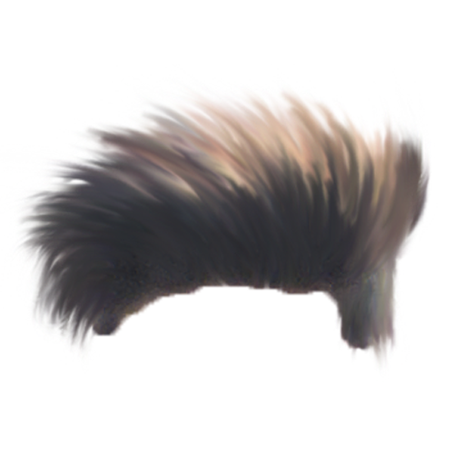 Top 5 hair PNG Image