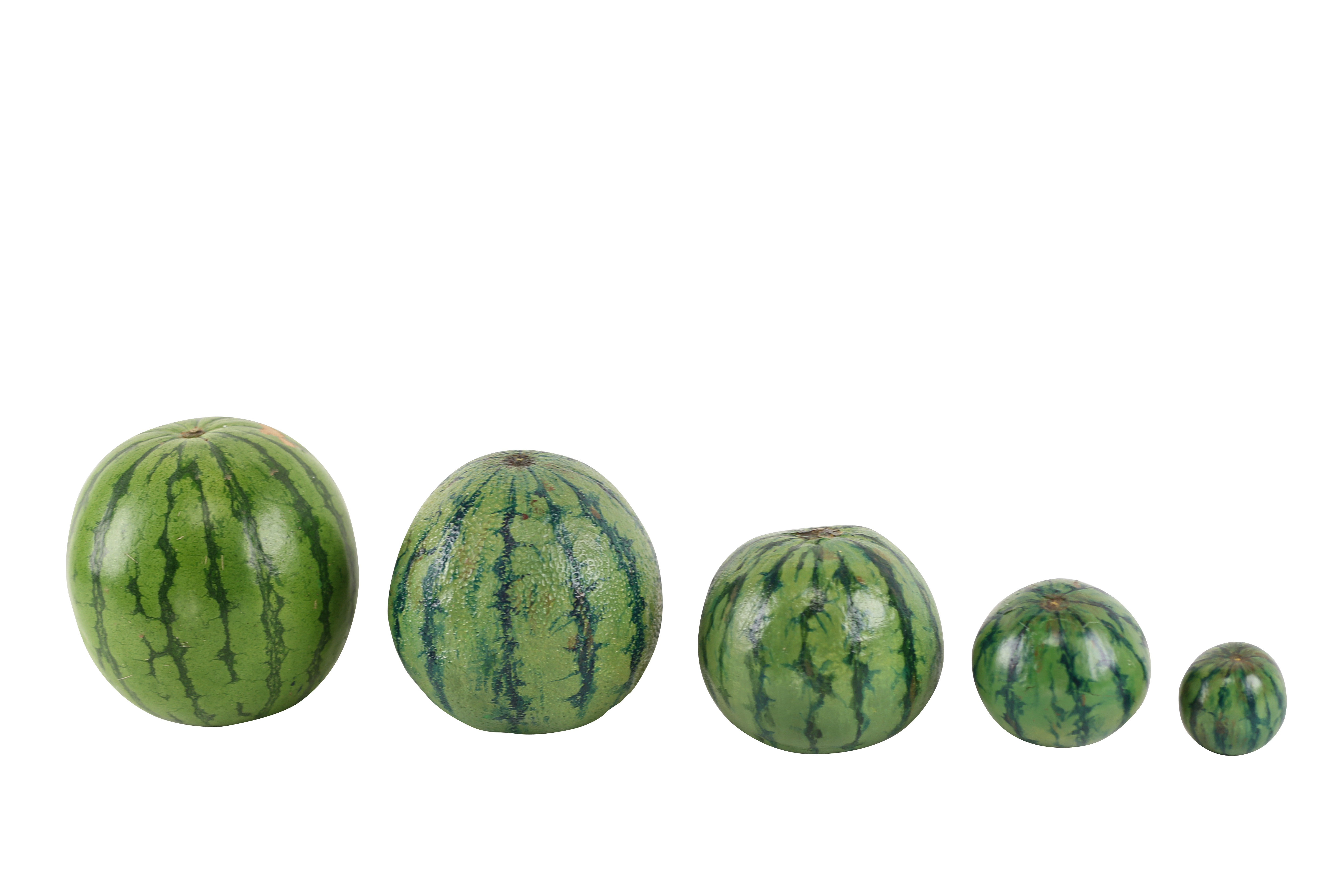 Watermelons PNG Image