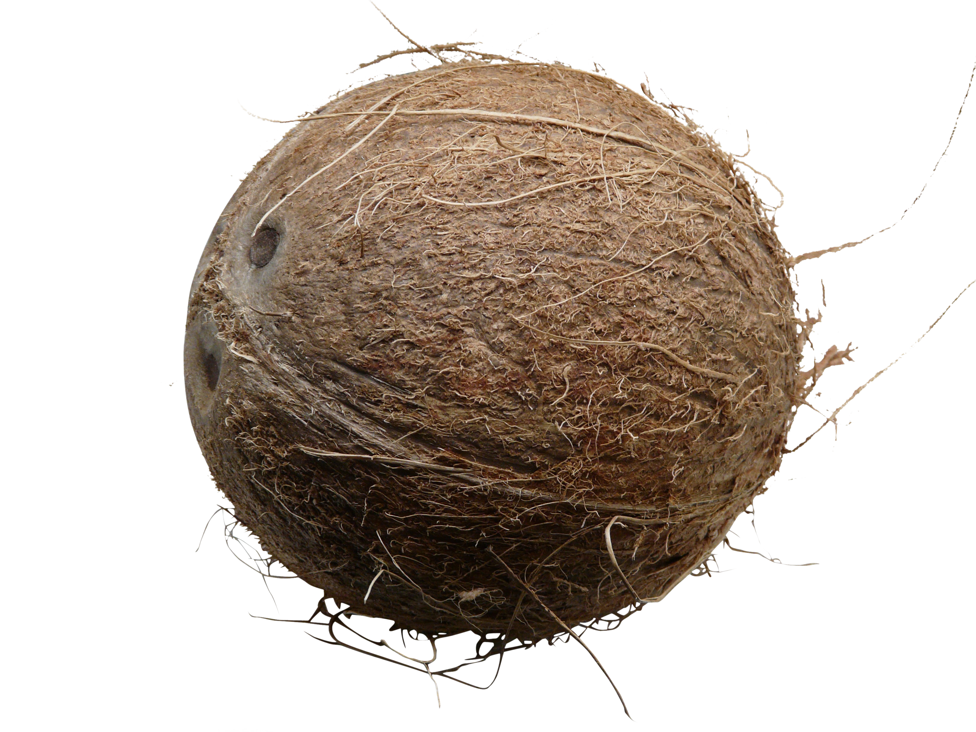 Whole Milked Coconut PNG Image
