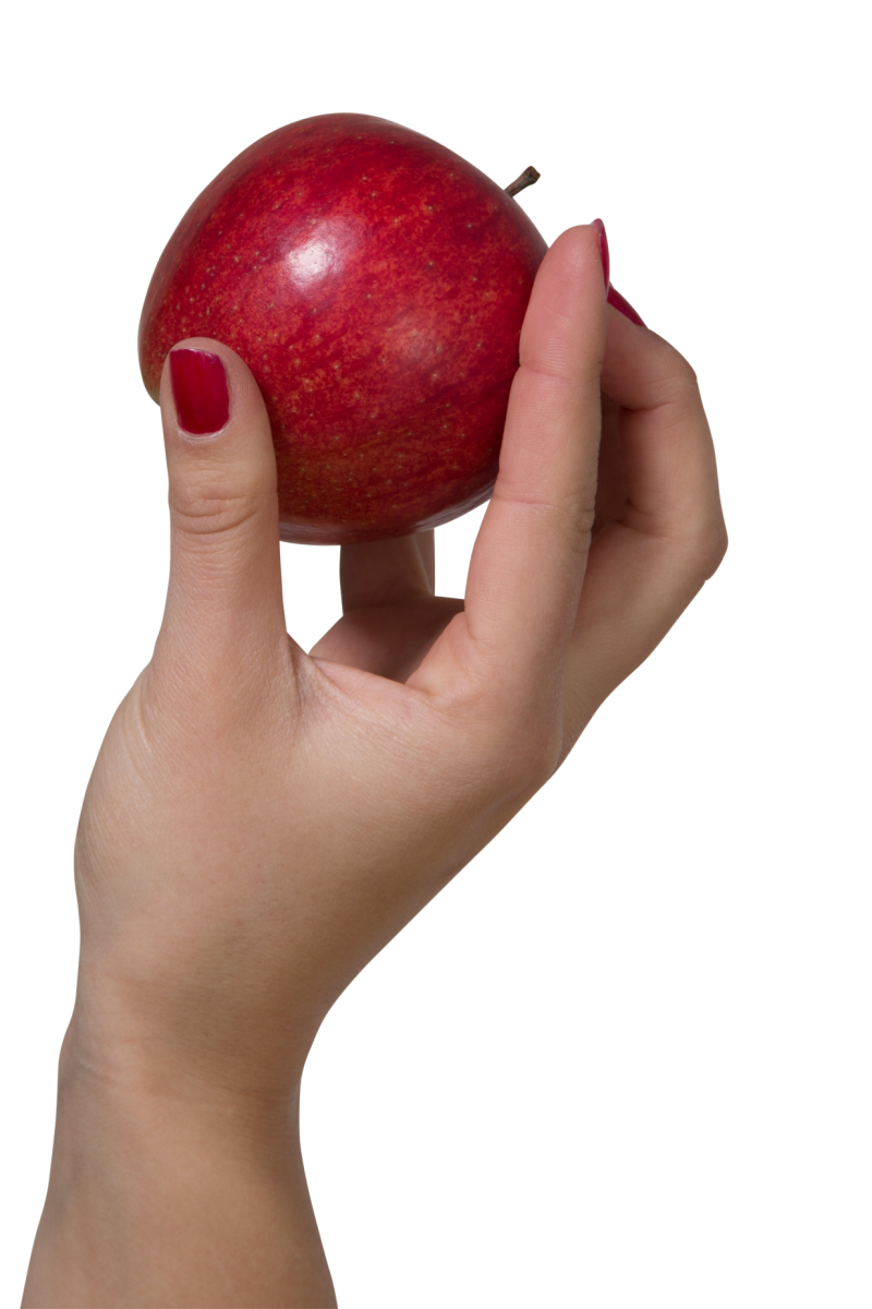 Apple in Hand PNG Image - PurePNG | Free transparent CC0 PNG Image Library