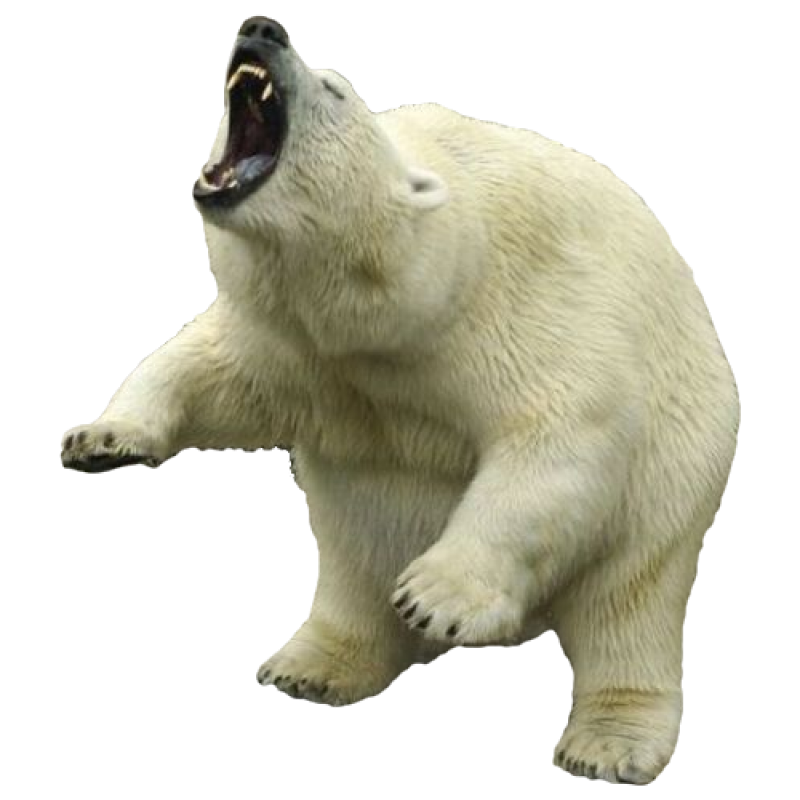 Polar Bear Png Image Purepng Free Transparent Cc0 Png - vrogue.co
