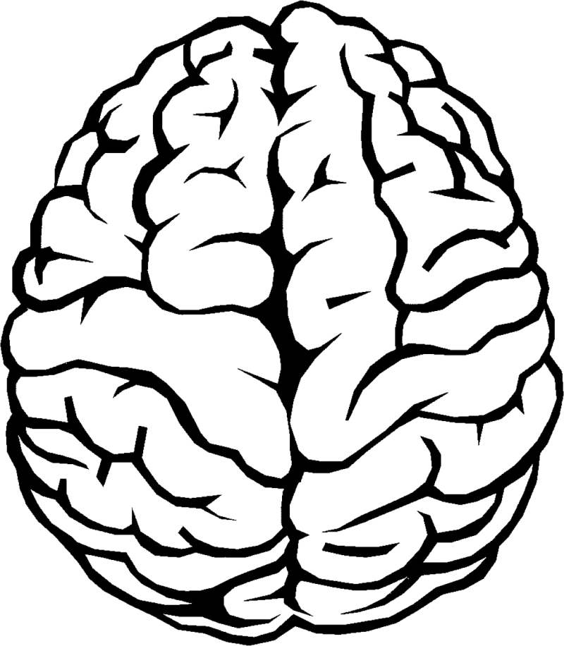 Brain Outline PNG Image - PurePNG | Free transparent CC0 PNG Image Library