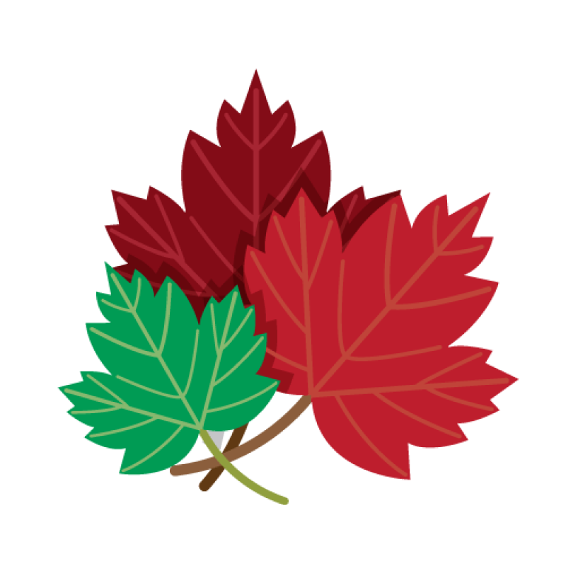 Transparent Canada Maple Leaf Clipart Red Maple Leaf Clip