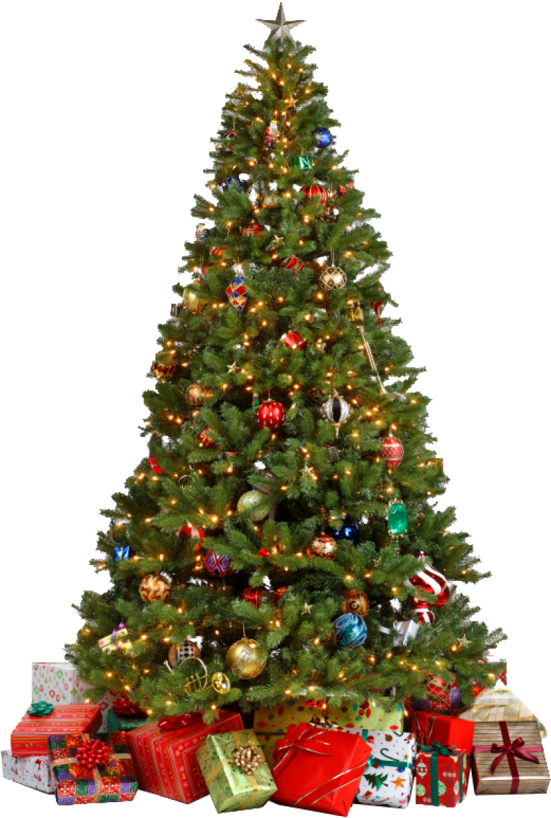 Traditional Christmas Tree with Gifts PNG Image - PurePNG | Free