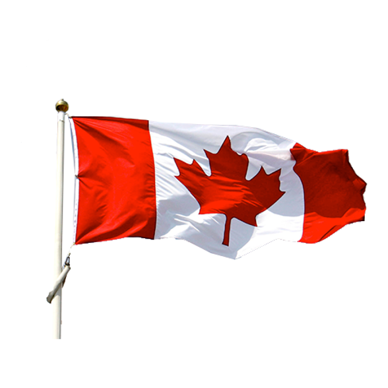 Flag of Canada PNG Image - PurePNG | Free transparent CC0 PNG Image Library