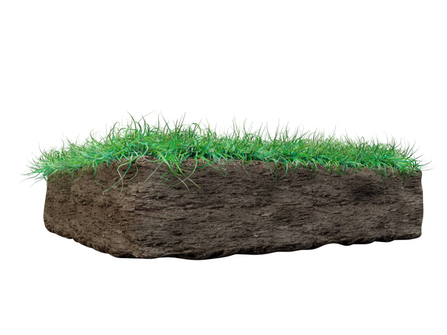 Grass On Mud Png Image Purepng Free Transparent Cc0 Png Image Library ...