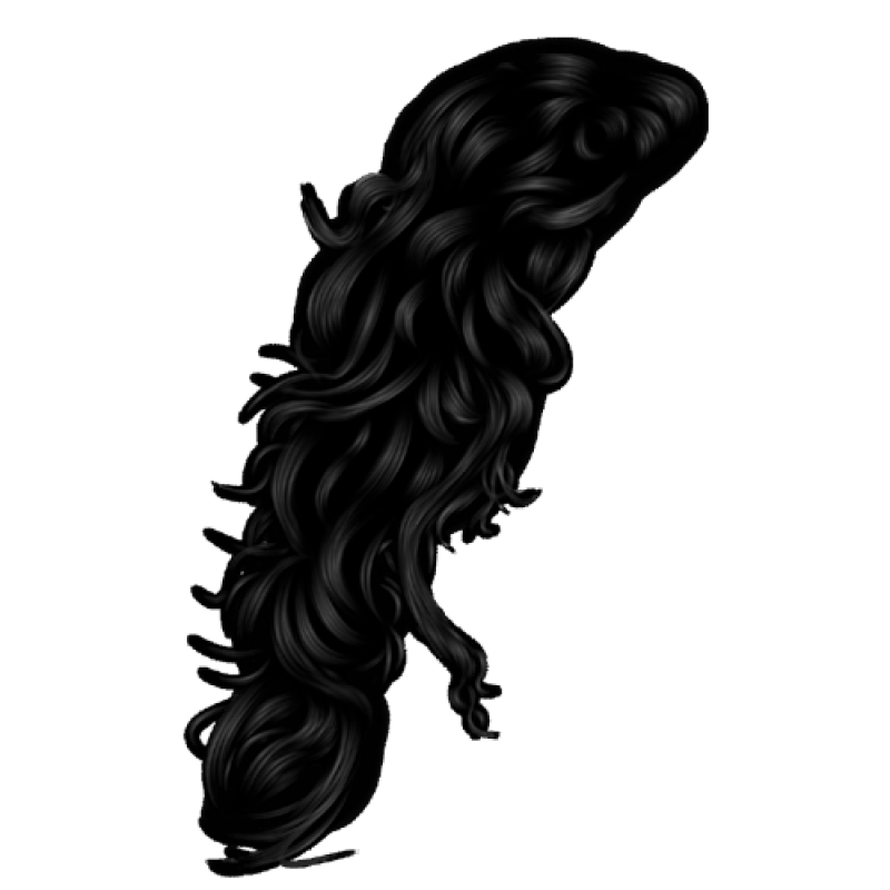 Hair PNG Image - PurePNG | Free transparent CC0 PNG Image Library