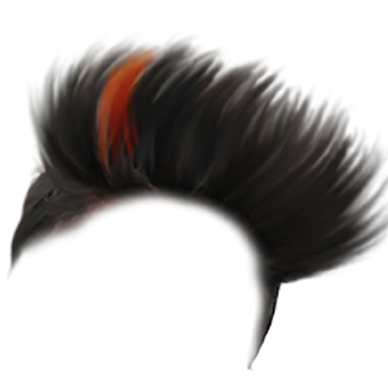 Hair Style PNG Image - PurePNG | Free transparent CC0 PNG Image Library
