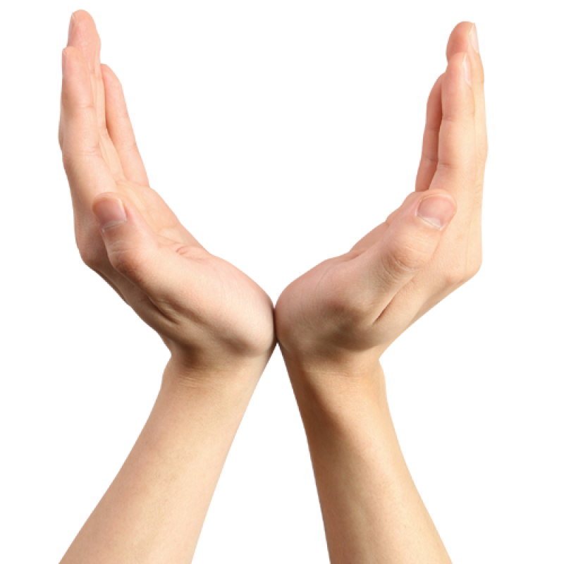 Hand Png Image Purepng Free Transparent Cc0 Png Image Library