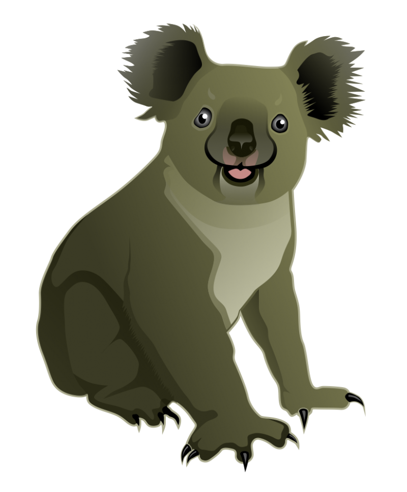 Koala Bear PNG Image - PurePNG | Free transparent CC0 PNG Image Library