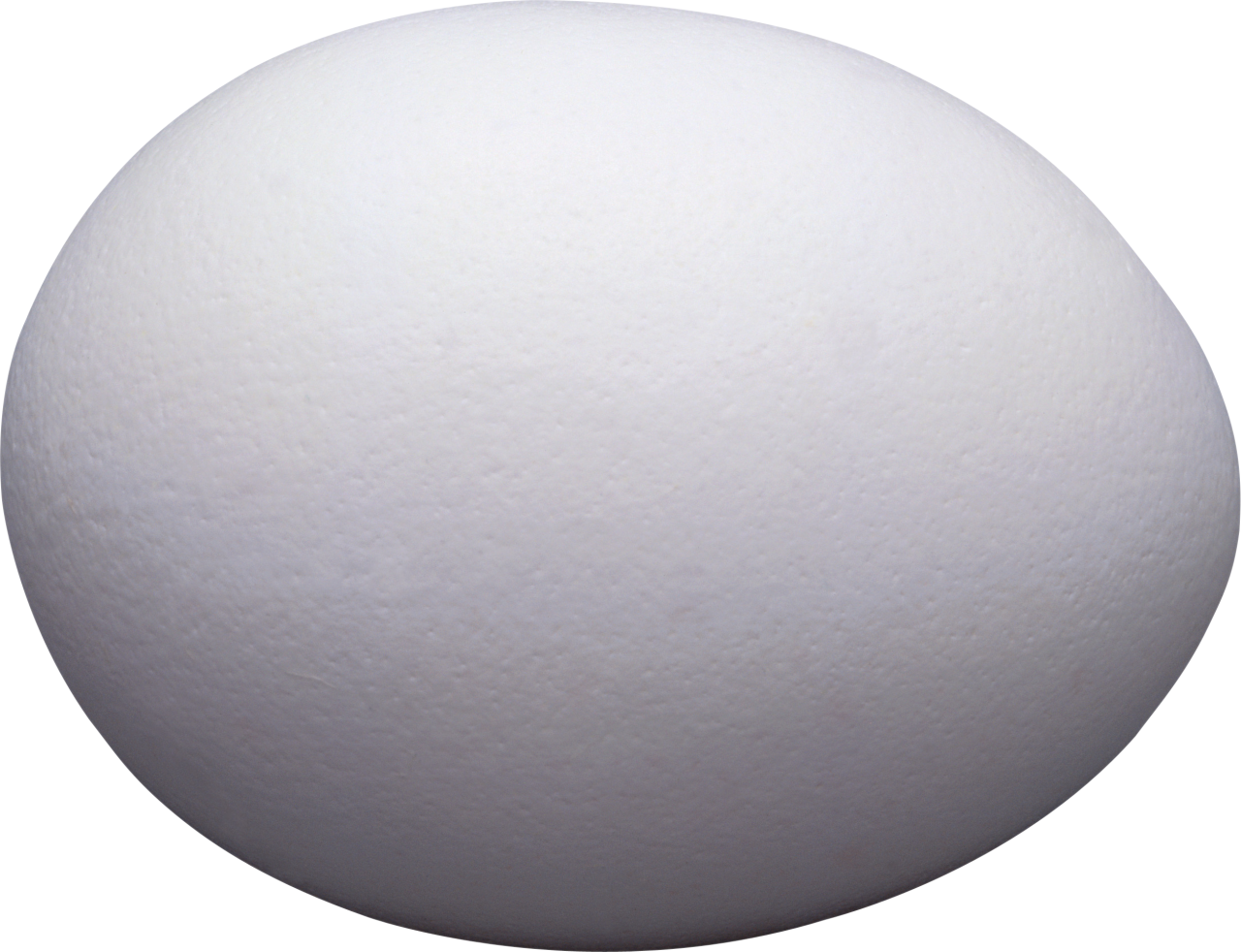 One White Egg PNG Image - PurePNG | Free transparent CC0 PNG Image Library