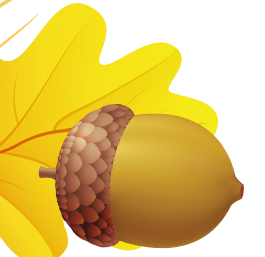 Acorn PNG Image - PurePNG | Free transparent CC0 PNG Image Library