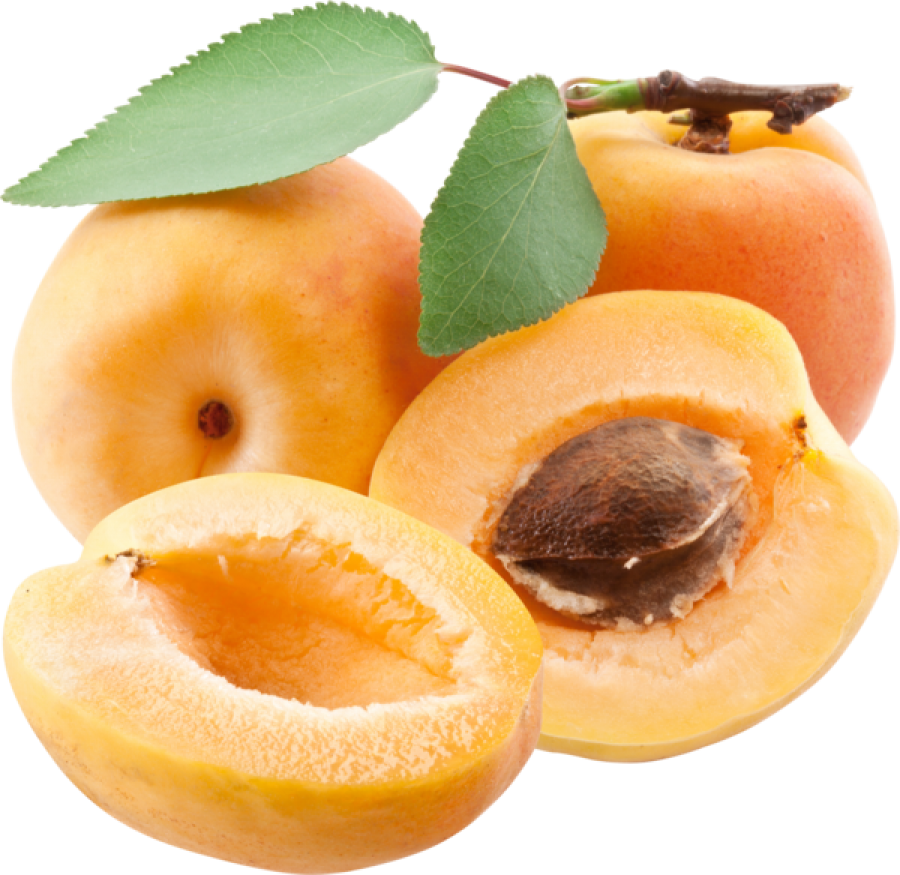 Apricot PNG Image - PurePNG | Free transparent CC0 PNG Image Library