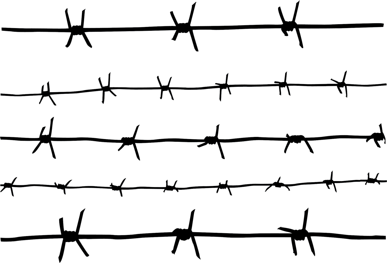 Колючая проволока на прозрачном фоне