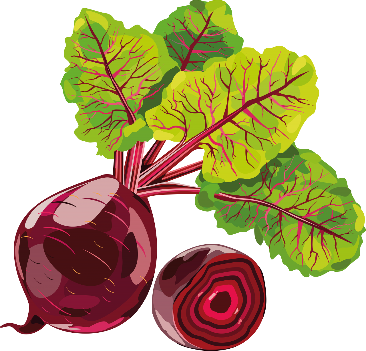 Beet PNG Image - PurePNG | Free transparent CC0 PNG Image Library