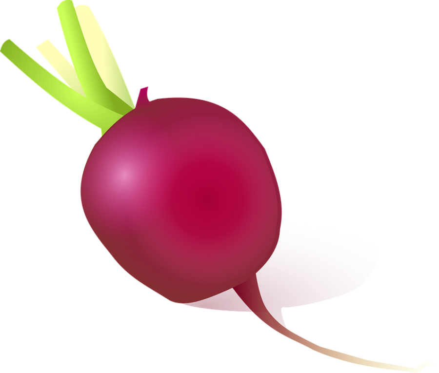 beet png image purepng free transparent cc0 png image library beet png image purepng free