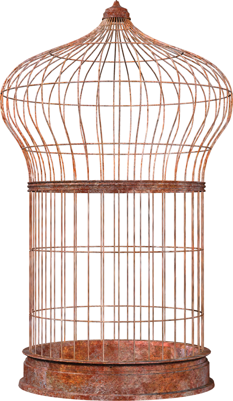 Bird Cage PNG Image - PurePNG | Free transparent CC0 PNG Image Library