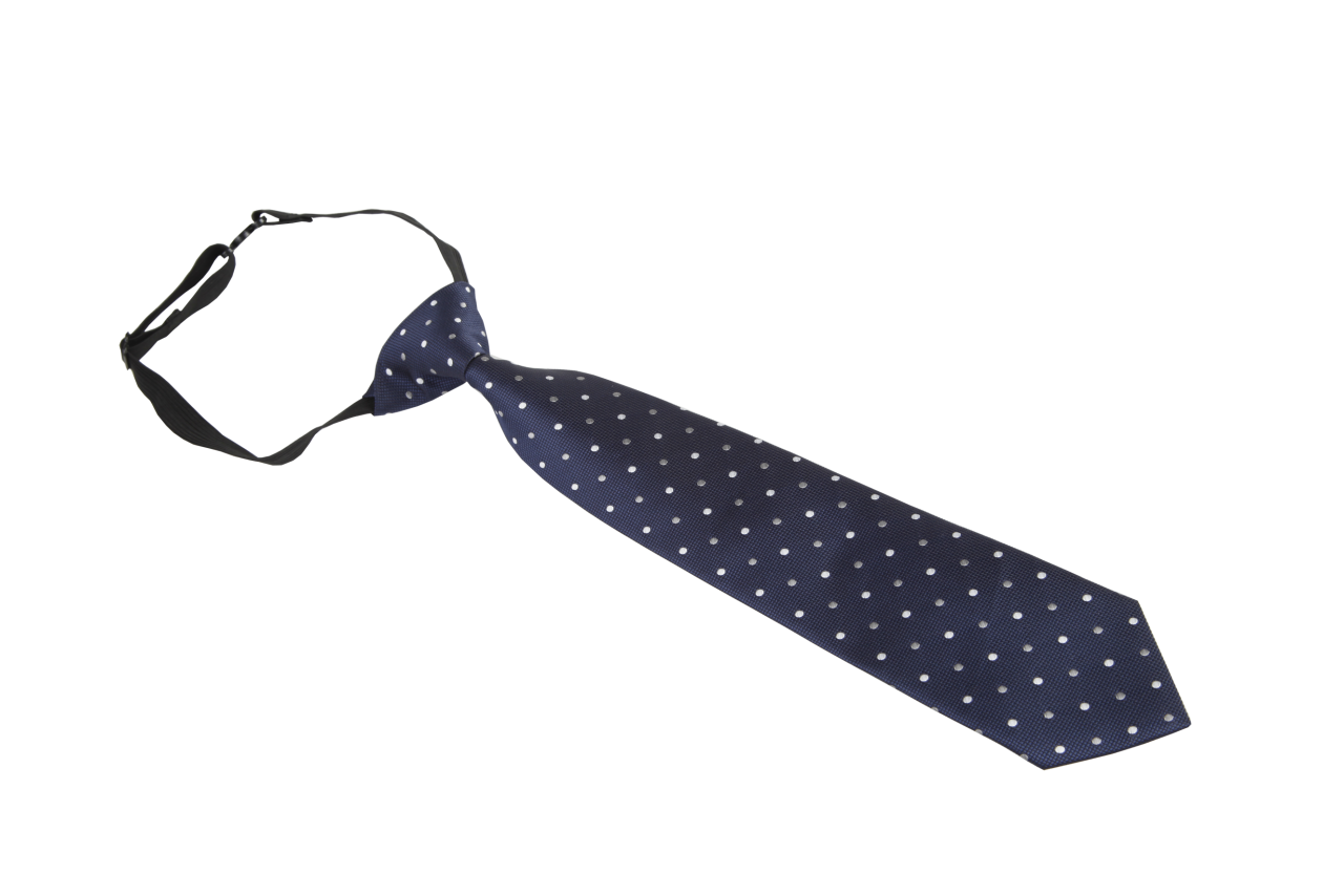 Blue Tie PNG Image - PurePNG | Free transparent CC0 PNG Image Library