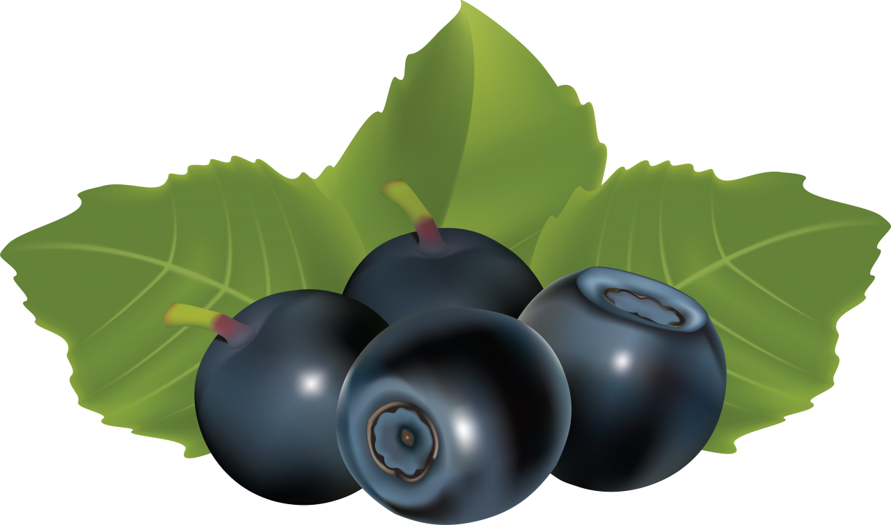 Blueberries PNG Image - PurePNG | Free transparent CC0 PNG Image Library