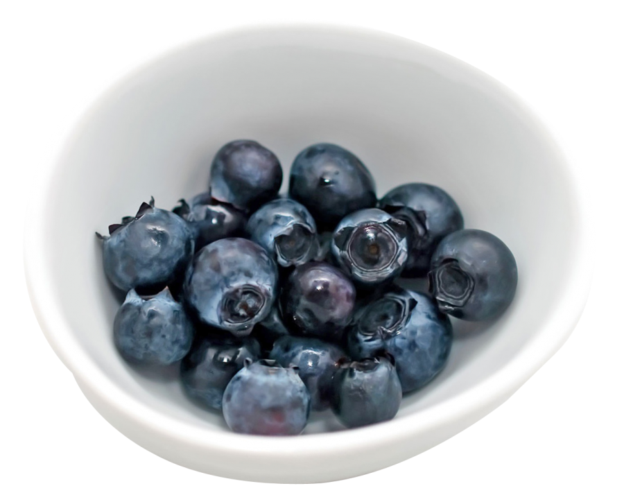 Blueberries Png Image Purepng Free Transparent Cc0 Png Image Library