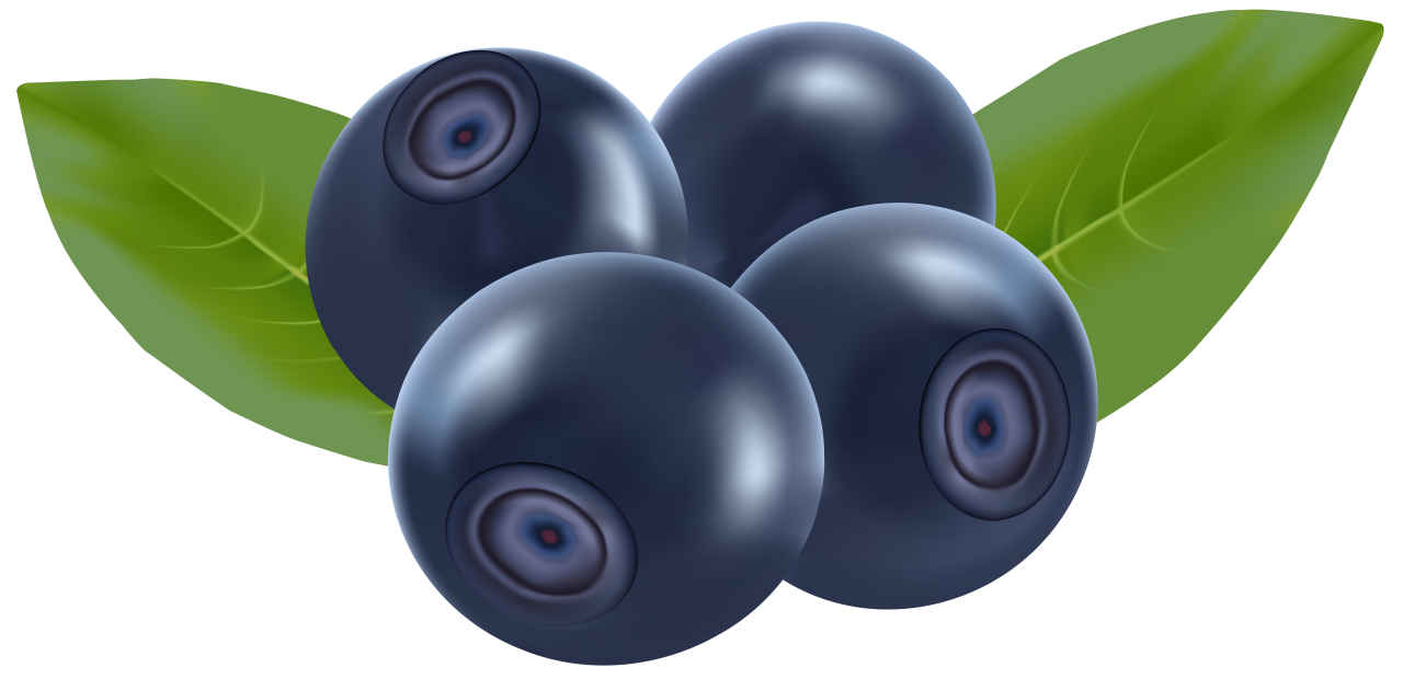 Blueberry drawing PNG Image PurePNG Free transparent CC0 PNG Image