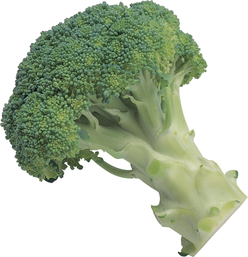 Broccoli PNG Image - PurePNG | Free transparent CC0 PNG Image Library