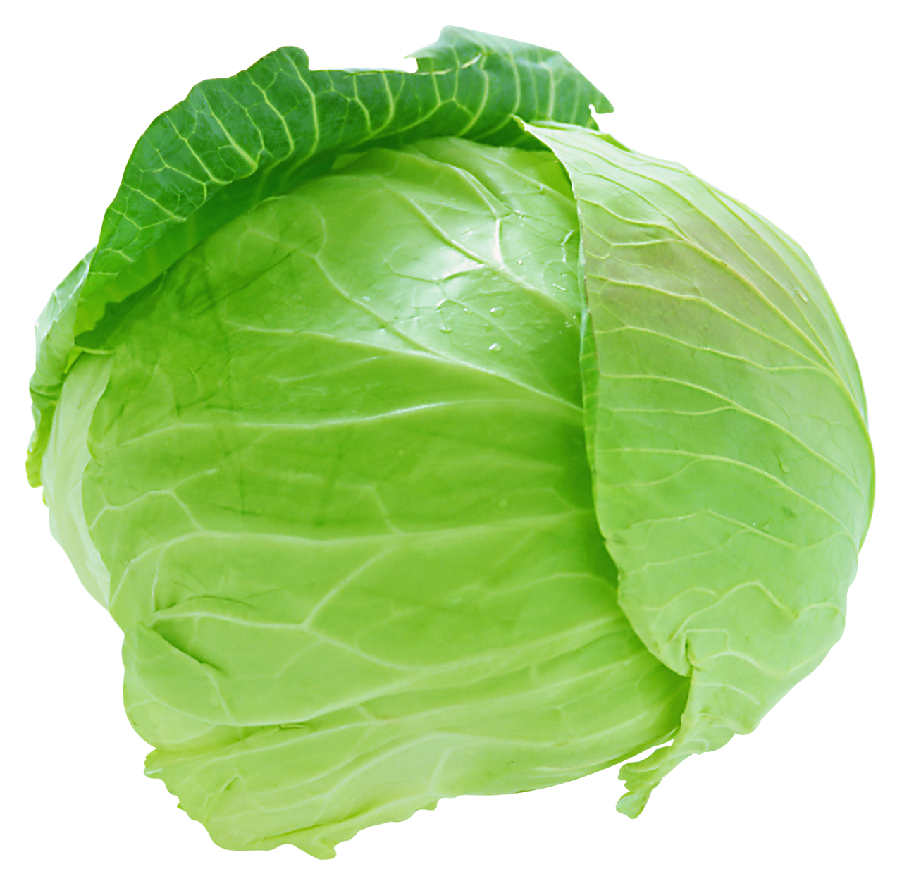 Cabbage PNG Image - PurePNG  Free transparent CC0 PNG Image Library