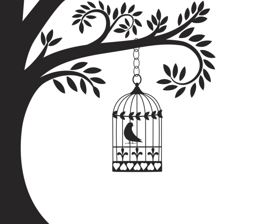 Cage bird PNG Image - PurePNG | Free transparent CC0 PNG Image Library