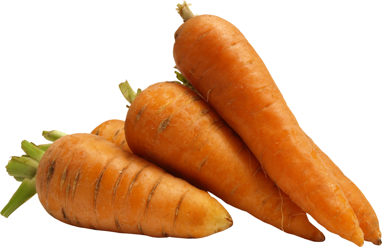 Carrot Png Image Purepng Free Transparent Cc Png Image Library