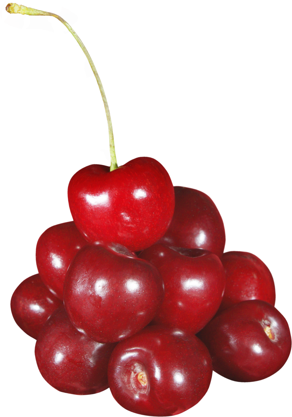 Cherries PNG Image - PurePNG | Free transparent CC0 PNG ...