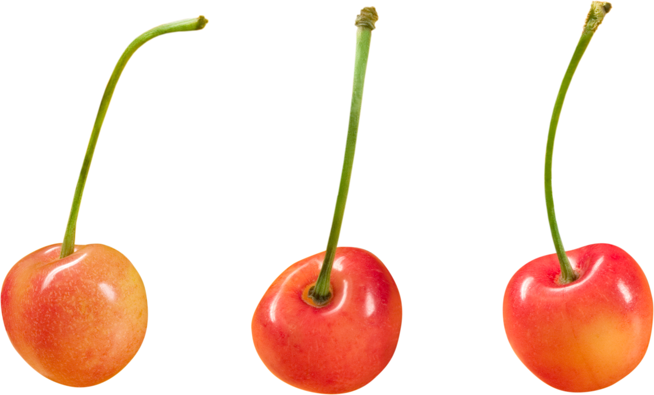 Cherries PNG Image - PurePNG | Free transparent CC0 PNG ...