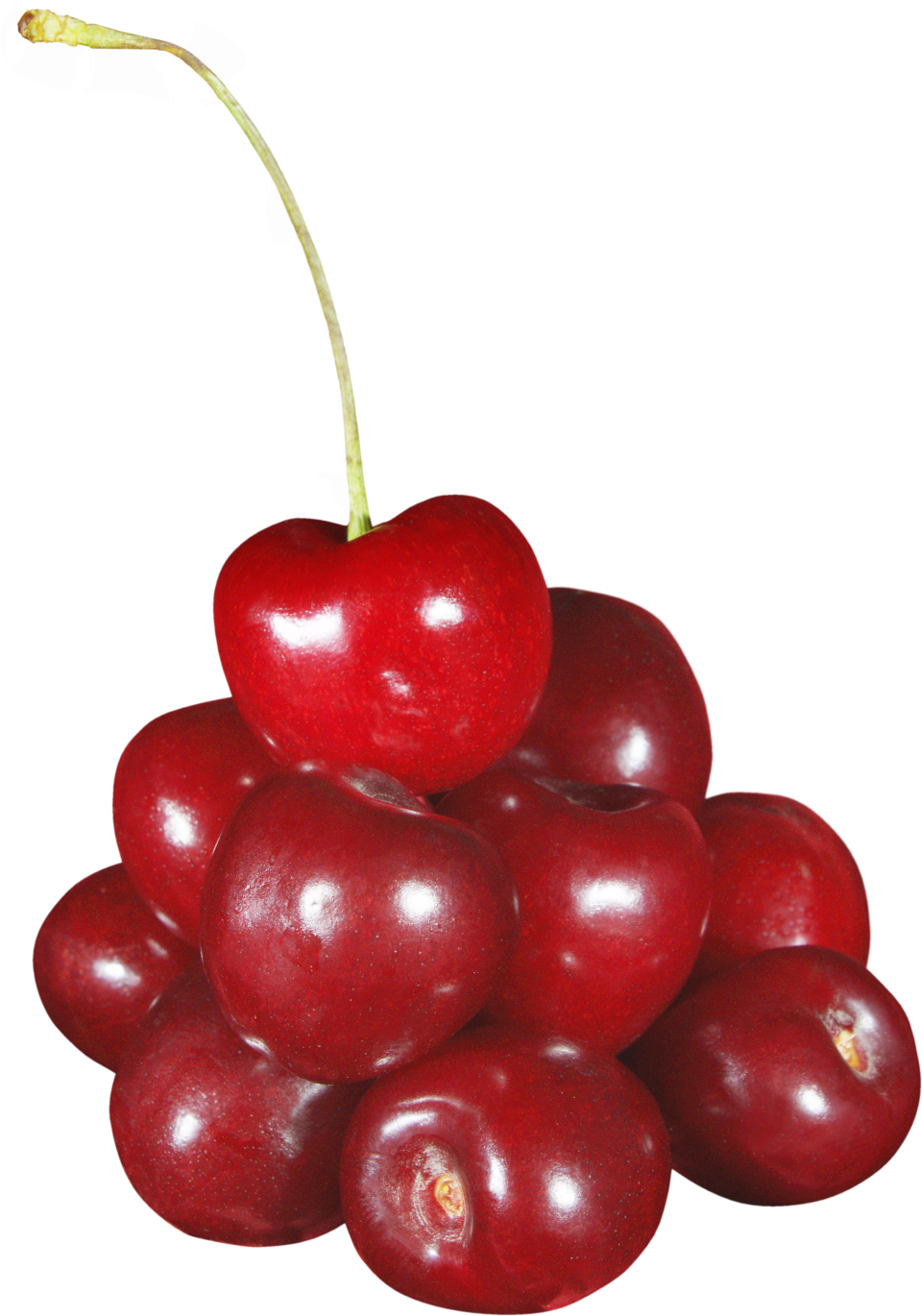 Cherrys Png Image Purepng Free Transparent Cc0 Png Image Library