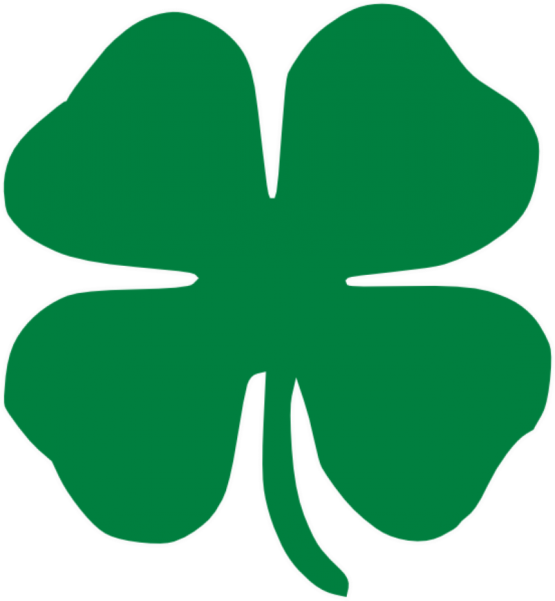 Clover PNG Image - PurePNG | Free transparent CC0 PNG Image Library