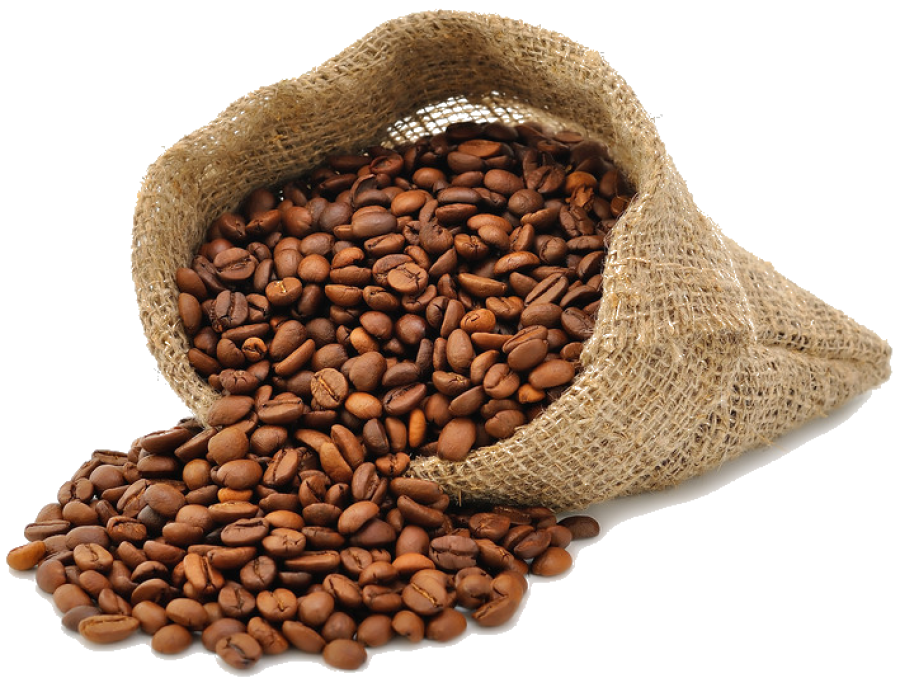 Coffee Beans PNG Image PurePNG Free transparent CC0 