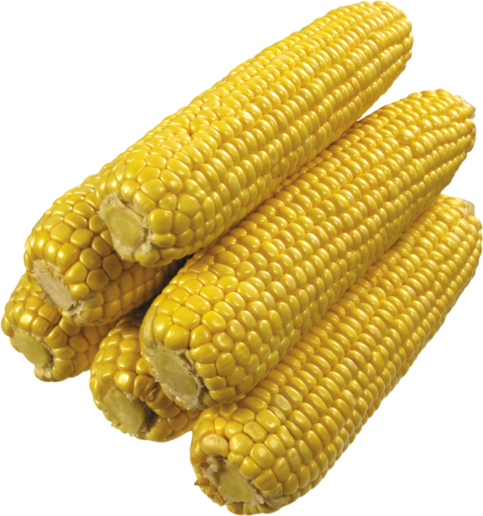 Corn PNG Image - PurePNG | Free transparent CC0 PNG Image ...