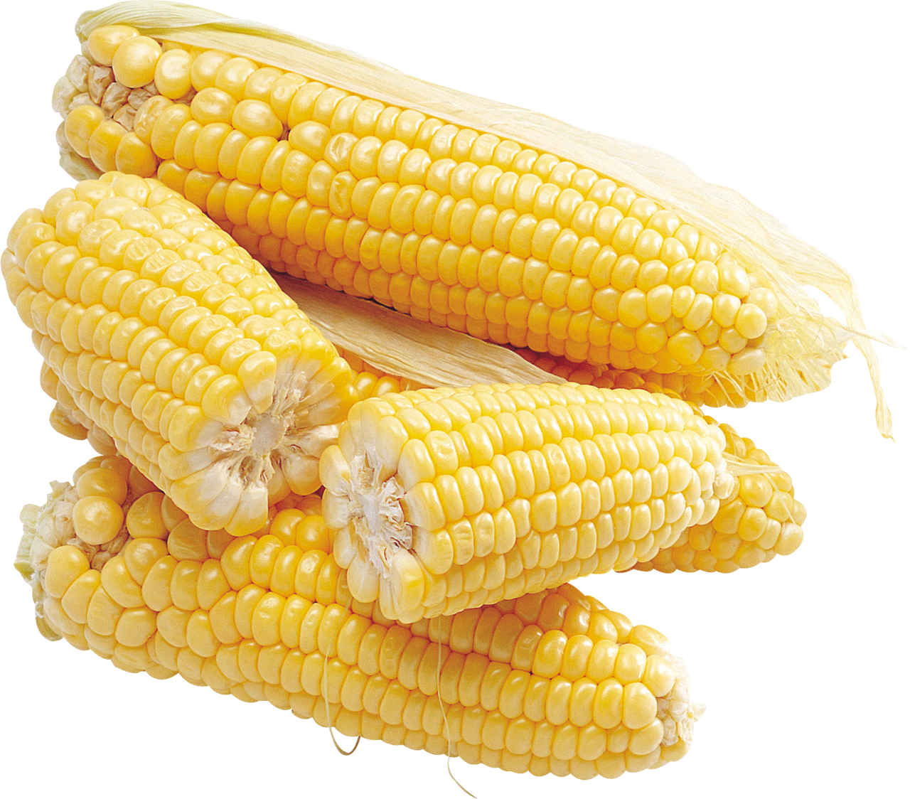 Corn PNG Image PurePNG Free transparent CC0 PNG Image Library