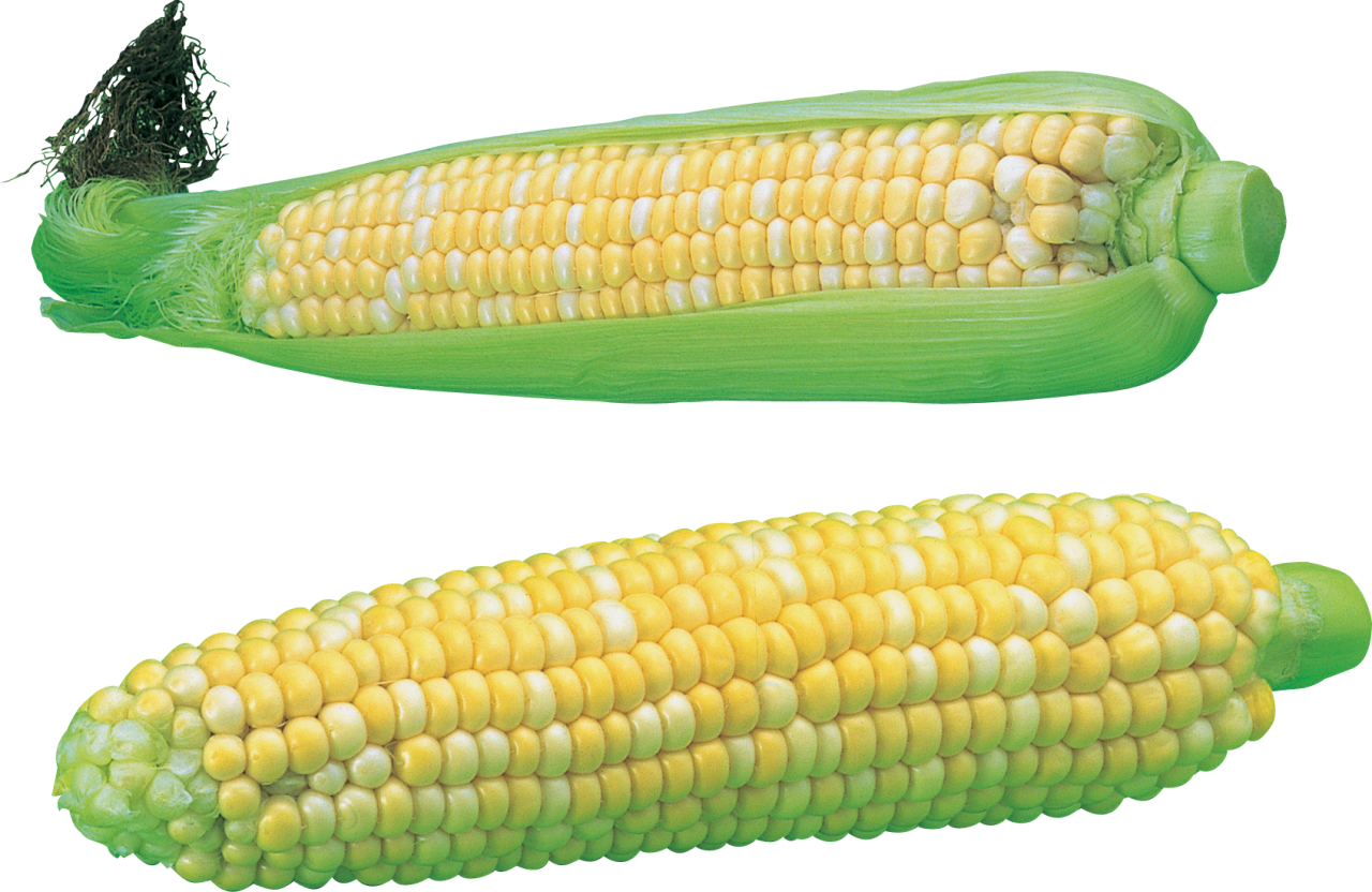 Corn PNG Image - PurePNG | Free Transparent CC0 PNG Image Library