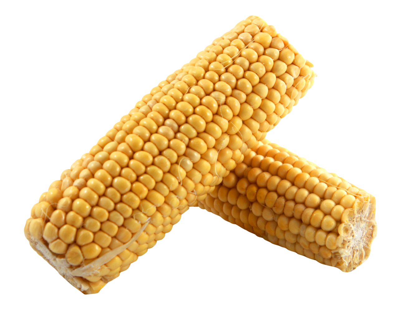 Corn PNG Image - PurePNG | Free Transparent CC0 PNG Image Library