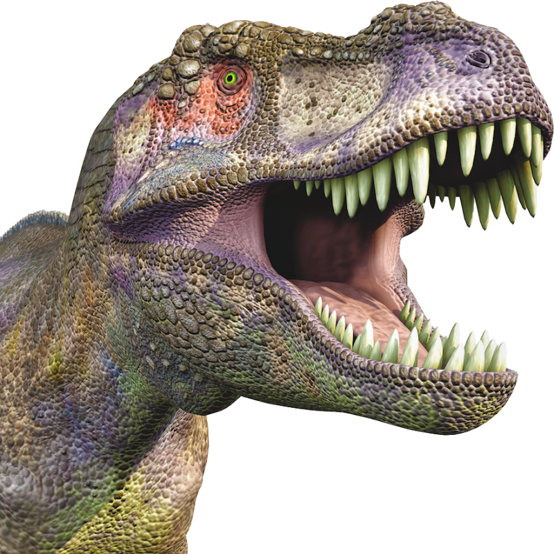 Dinosaur PNG Image - PurePNG | Free transparent CC0 PNG Image Library