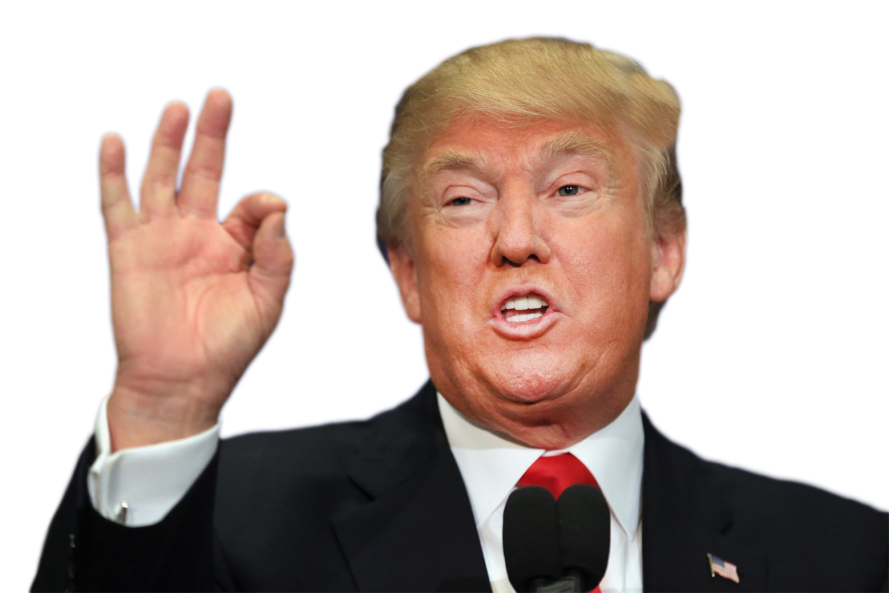 Donald Trump PNG Image - PurePNG | Free transparent CC0 PNG Image Library