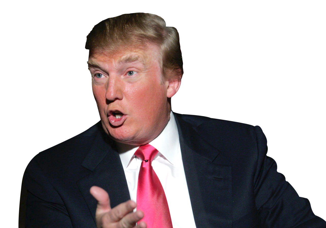 Donald Trump PNG Image - PurePNG | Free transparent CC0 PNG Image Library