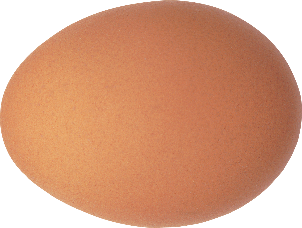 Egg Png Image Purepng Free Transparent Cc0 Png Image Library Images