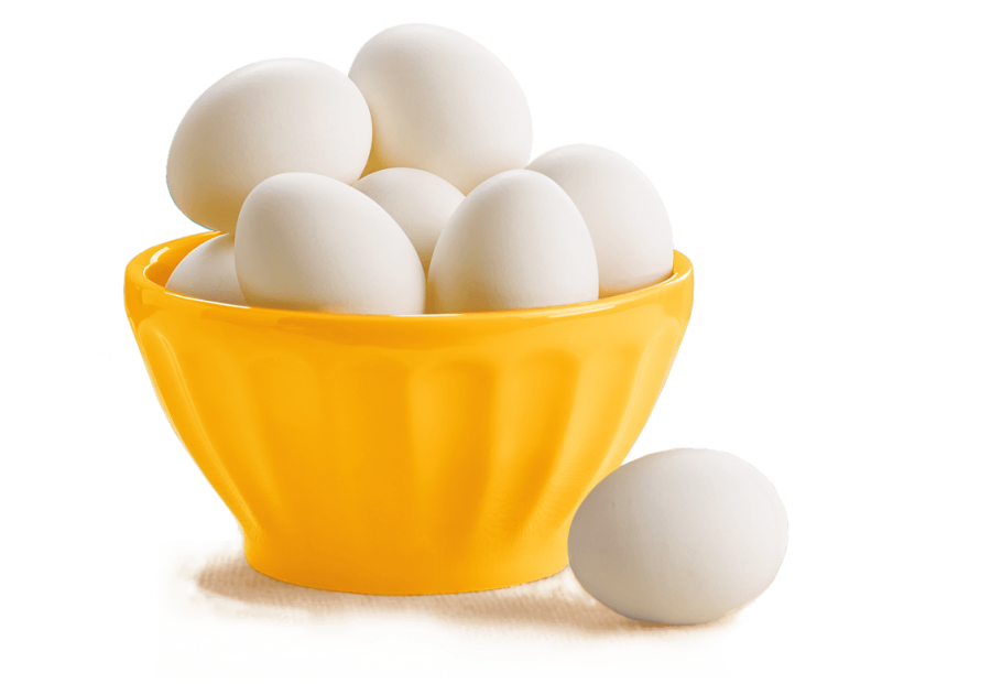 Eggs PNG Image PurePNG Free transparent CC0 PNG Image Library