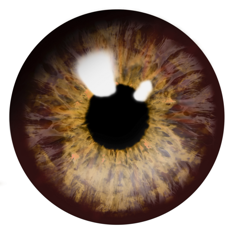 Eyes PNG Image - PurePNG | Free transparent CC0 PNG Image Library