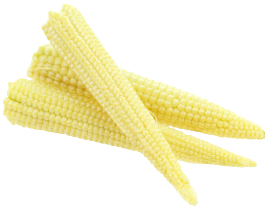 Fresh Baby Corn PNG Image - PurePNG | Free Transparent CC0 PNG Image ...