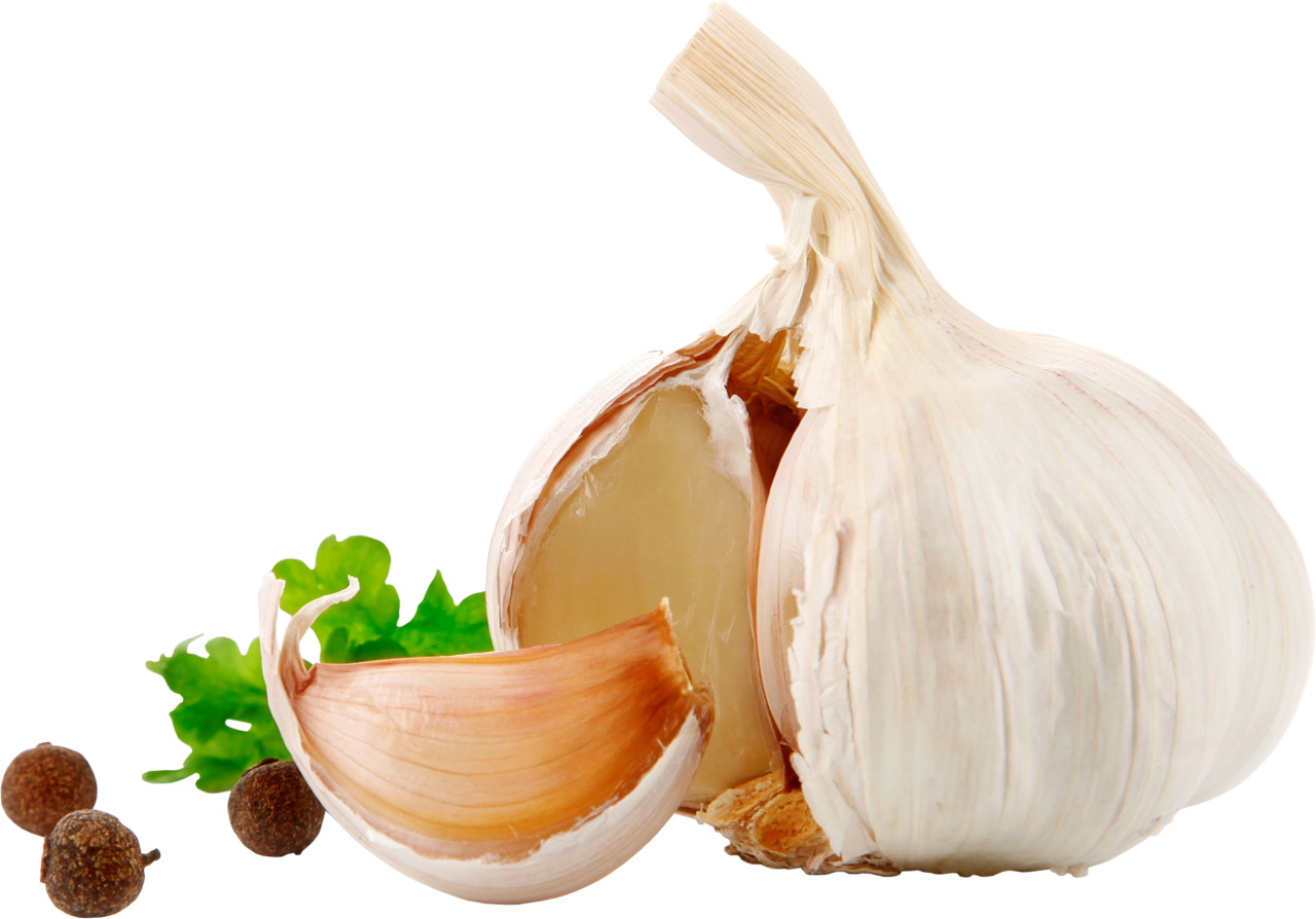 Garlic Png Image - Purepng 