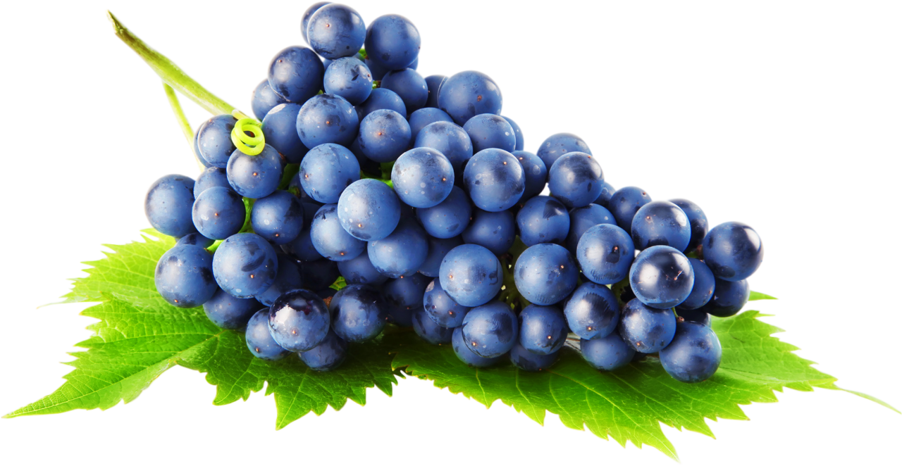 Девичий виноград пнг без фона