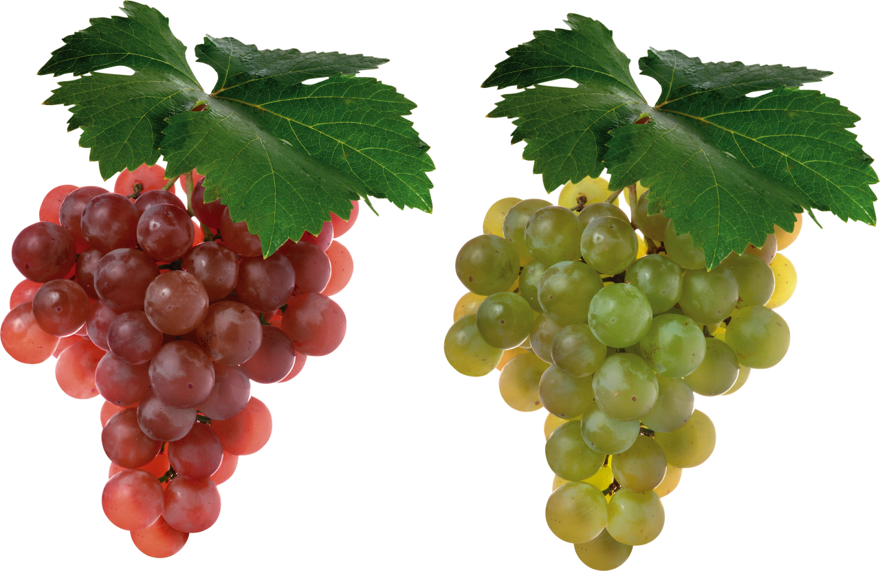 Grapes PNG Image - PurePNG | Free transparent CC0 PNG Image Library