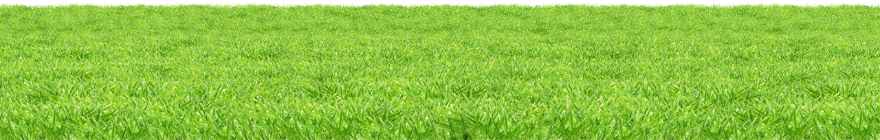 Grass Png Image Purepng Free Transparent Cc Png Image Library