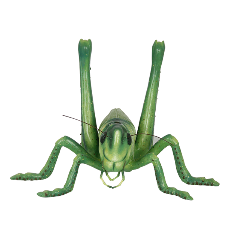 Grasshopper PNG Image - PurePNG | Free transparent CC0 PNG Image Library